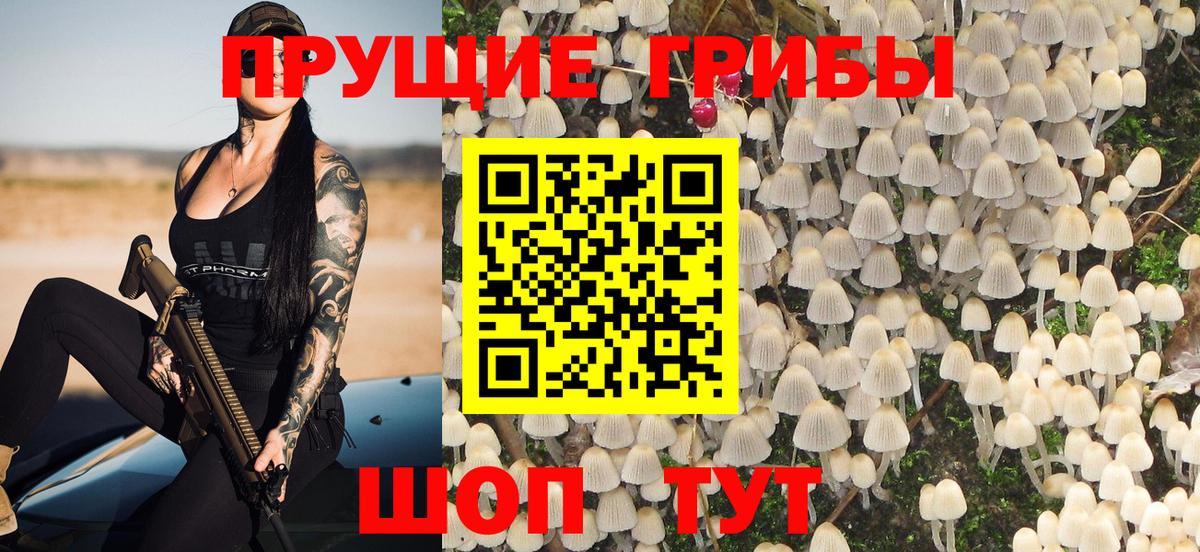 Галлюциногенные грибы мицелий Рязань