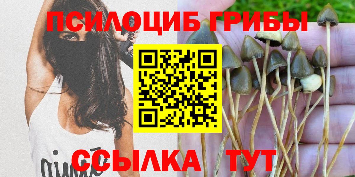 Рязань  Псилоцибиновые грибы GOLDEN TEACHER  Галлюциногенные грибы прущие грибы  купить  сайты  Вход с VPN 